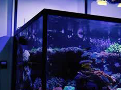 Aquarium Silicone Sealant